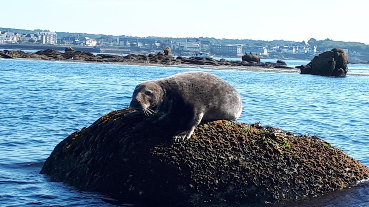 Studio Face A La Mer Concarneau Luaran gambar
